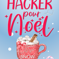 Un Hacker pour Noël
