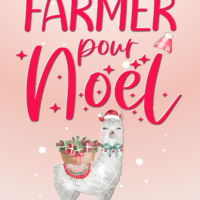 Un Farmer pour Noël